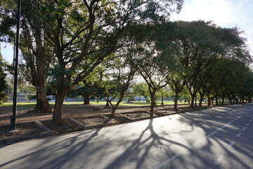 Arboles en parque en Mendoza