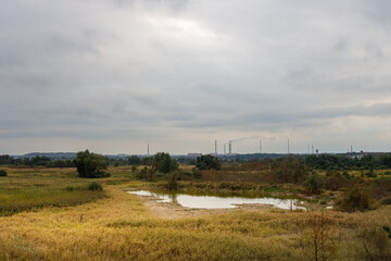 Field with a pond in the middle and a few trees in the background