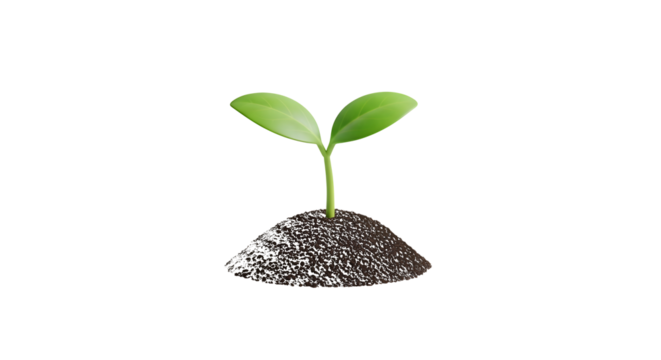 Young Green Sprout Growing From Dark Soil On Transparent Background isolated on a transparent background
