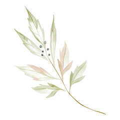 Watercolor Botanical Leaf Branch Clipart