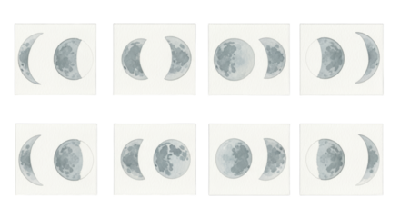 Eight sequential images depicting the phases of the moon in a clear astronomical display isolated on transparent background
