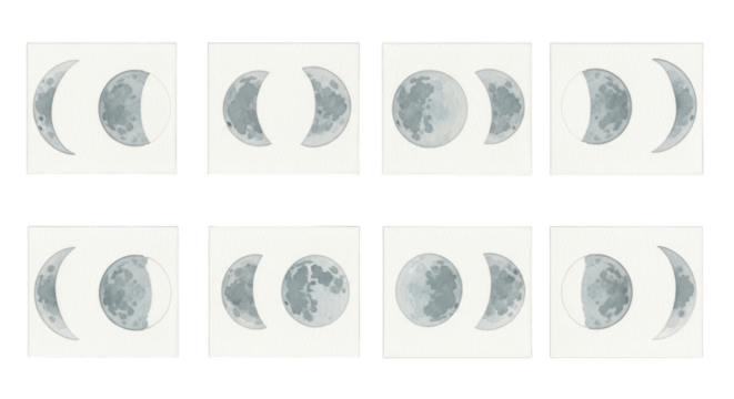 Eight sequential images depicting the phases of the moon in a clear astronomical display isolated on transparent background
