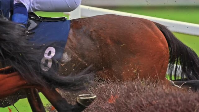 Slow motion footage shows racehorses charging over a turf track with soft light capturing muscle movement and grass lifted by hooves.