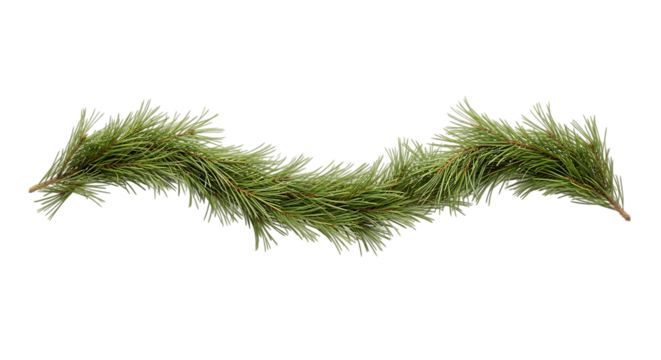 Green grass garland against black background
