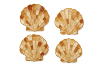 Four scallop seashells forming mosaic pattern transparent background