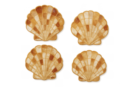 Four scallop seashells forming mosaic pattern transparent background