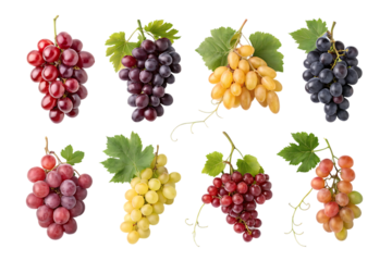Collection of eight different bunches of ripe grapes in various colors including red purple green and black isolated on transparent background