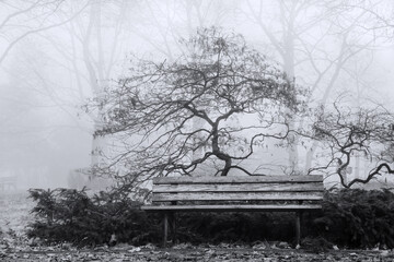Bei starken Nebel und Dunst im Park unterwegs, schwarz-weiß Umsetzung