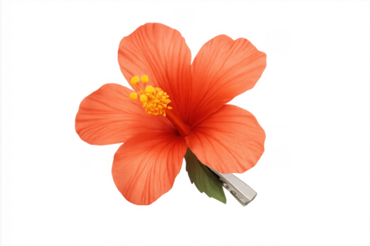 Orange hibiscus hair clip accessory on transparent background - Powered by Adobe