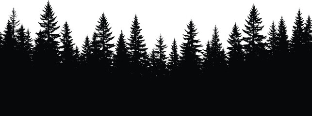 forest, silhouette, pine, fir, tree, vector, black, nature, wilderness, outdoor, skyline, conifer, landscape, tranquil, outline