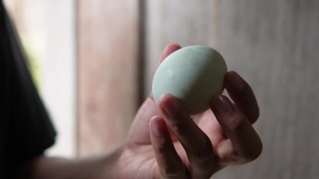 A person&rsquo;s hand holding a duck egg. Farming. Healthy food