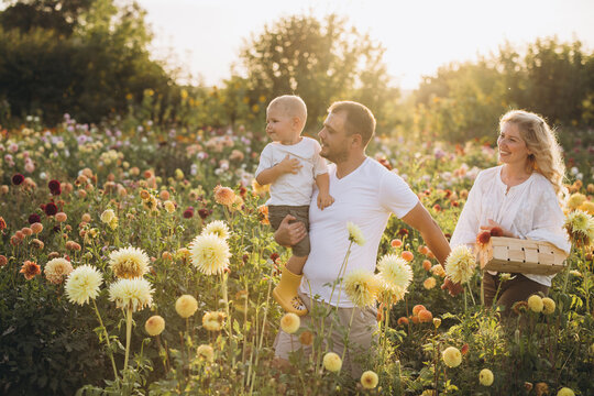 Family enjoying dahlia garden picking beautiful flowers