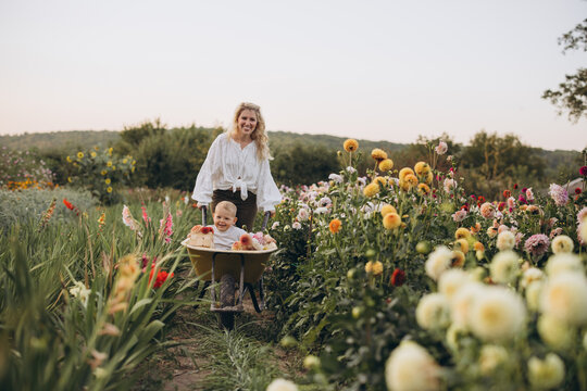 Mother pushing son in wheelbarrow in dahlia garden