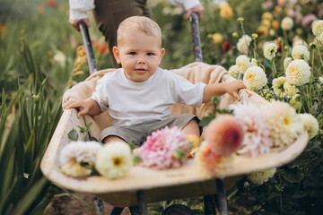 Mother pushing son in wheelbarrow through flower garden