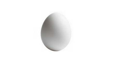Single white egg, close up studio shot
