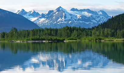 Alaskan Landscape - Taken on Kenai Peninsula jutting from the coast of Southcentral Alaska. 