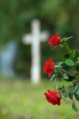 Trauern am Grab, rote Rosen vor Holzkreuz, keinen Namen
