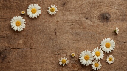 Obraz premium A collection of daisies on a wooden surface arranged in a scattered pattern.