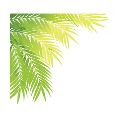 Elegant Tropical Palm Fronds Plants Forming a Decorative Corner Frame