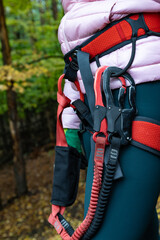 Close-up. Carabiners attached to the climbing harness