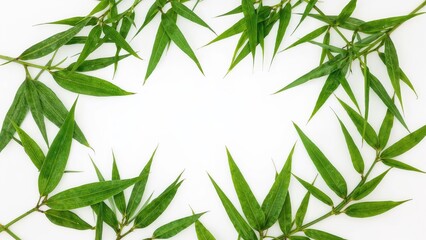 Obraz premium Green bamboo leaves arranged in a circular pattern on a white background.