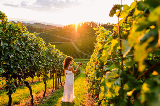 Magischer Sonnenuntergang &uuml;ber den Durbacher Weinbergen &ndash; Frau im wei&szlig;en Kleid mit Trauben in der Hand
