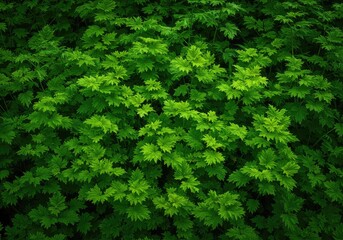 A vibrant, dense tapestry of green foliage showcasing the raw, unstoppable force of biological growth and natural vitality in the ecosystem ,freshness ,healthy ,vital