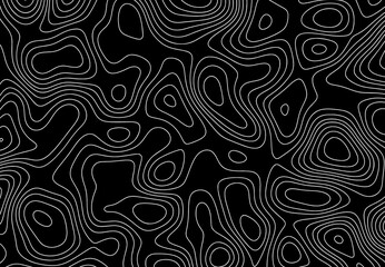 Abstract background of topographic map contour line pattern