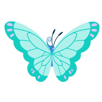 Blue butterfly vector illustration on a white background