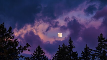 Enchanting full moon illuminates dramatic twilight clouds above silhouetted pine trees creating a mystical nocturnal sky
