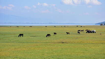 landscape along lake Kerkini in Greece