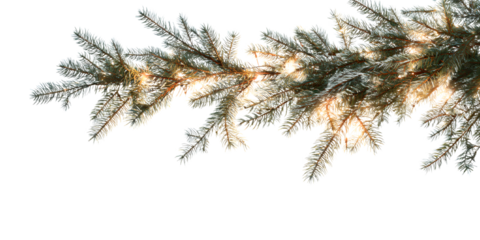 christmas tree branch with lights isolated on white