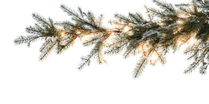 christmas tree branch with lights isolated on white