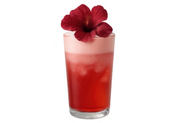 Hibiscus cocktail with foam and ice cubes, transparent background
