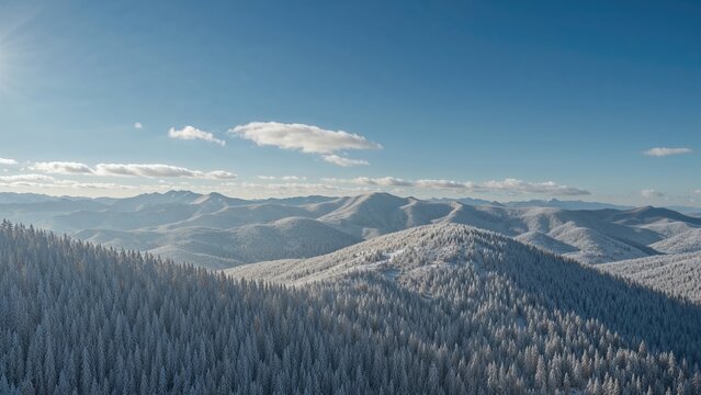 Snow-covered mountains and forest with a clear sky and some clouds.