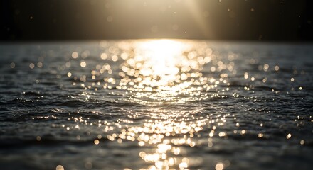 The way sunlight creates sparkles on the water's surface.