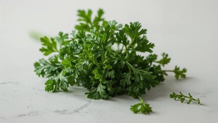 Fototapeta premium Fresh green parsley herb, culinary ingredient, on a white surface. Fresh and healthy herbs, cooking and garnish, natural food ingredients.
