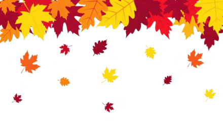 Autumn leaves falling