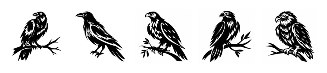 Five diverse birds perched silently on thin branches in a charming black and white arrangement