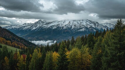 Snow-capped mountains and forest landscape with cloudy sky. Nature and mountain scenery, landscape. The scene of mountains and trees in the wilderness.