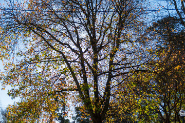 Obraz premium Oporto, detalles de la ciudad en Navidad 2025, Porto city details at Christmas 2025, Porto Stadtansichten Weihnachten 2025, ポルト市クリスマスの詳細 2025, Détails de la ville de Porto à Noël 2025, Porto, detalhes