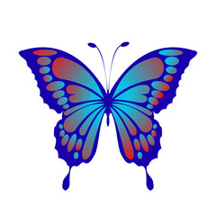 butter flay tattoo design. Vector illustration