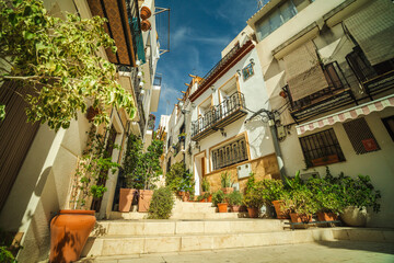 Fototapeta premium Sunny narrow street with white Mediterranean houses and potted plants on stairs, typical of Spanish coastal towns and filled with vibrant greenery and charm.