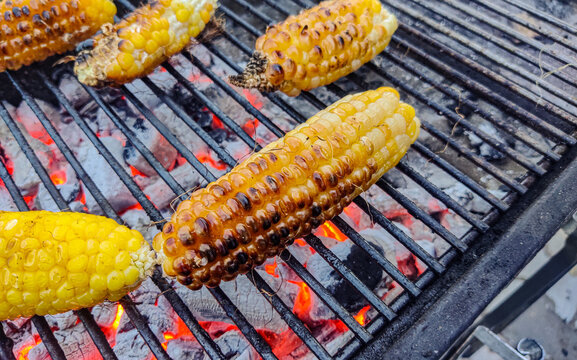 Golden corn cobs roasting on a charcoal grill with glowing coals. Showcasing delicious smoky corn, barbecue cooking, summer picnic vibes and outdoor grilling tradition with burnt kernels.