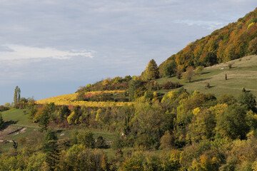 Weinberge und Naturschutzgebiet Neuffener Heide, Neuffen