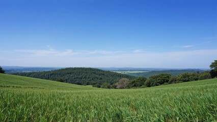 Obraz premium Lush green landscape with rolling hills and dense forest under a bright blue sky.