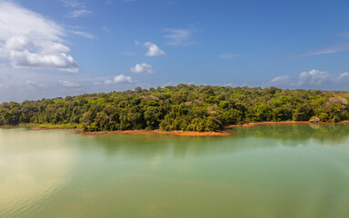 Exposure of the biodiversity present along the shores of the Gatun Lake, the freshwater artificial lake to the south of Colon, Panama, big part of the Panama Canal