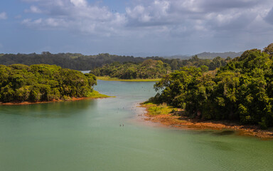 Fototapeta premium Exposure of the biodiversity present along the shores of the Gatun Lake, the freshwater artificial lake to the south of Colon, Panama, big part of the Panama Canal