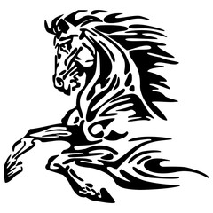 Hermoso caballo tribal galopando