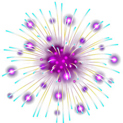 Obraz premium Vibrant firework burst